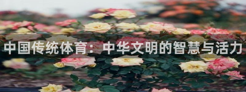 凯发官网下载平台注册:中国传统体育:中华文明的智慧与活力